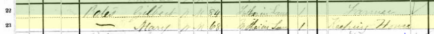 1880 US Census Record for Mary Udell Bates